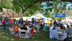 fair crowd