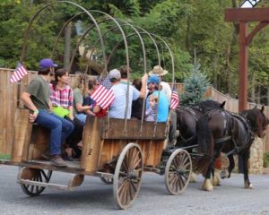 wagon rides with horses