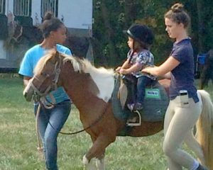 horse rides at the fair