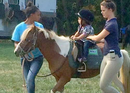 pony-rides1 family-friendly fun