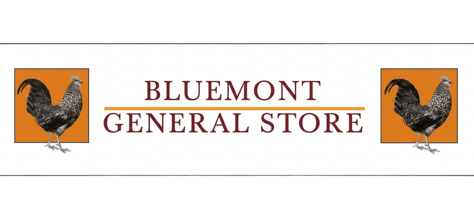 Bluemont Store