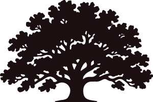 Oak Tree - Sonny Colbert